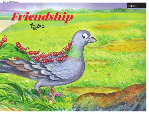 Friendship of Pigeons and Ants